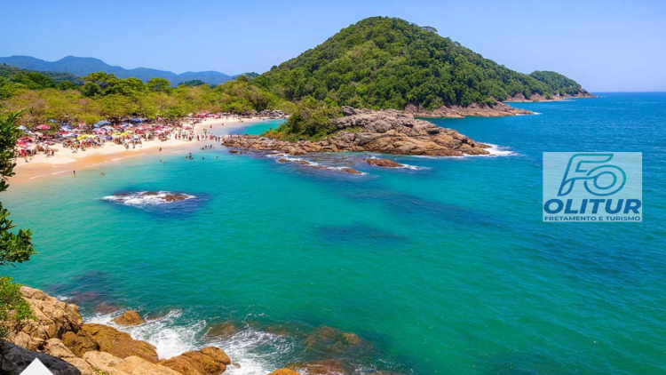 BATE E VOLTA TRINDADE RJ
